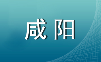 2024年咸阳市社区专职工作人员公开招聘面试成绩、最终总成绩查询及体检政审公告