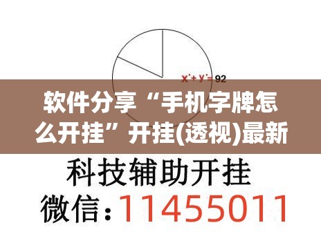 软件分享“手机字牌怎么开挂”开挂(透视)最新辅助详细