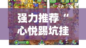 强力推荐“心悦踢坑挂下载免费”详细分享装挂步骤