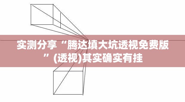 实测分享“腾达填大坑透视免费版”(透视)其实确实有挂