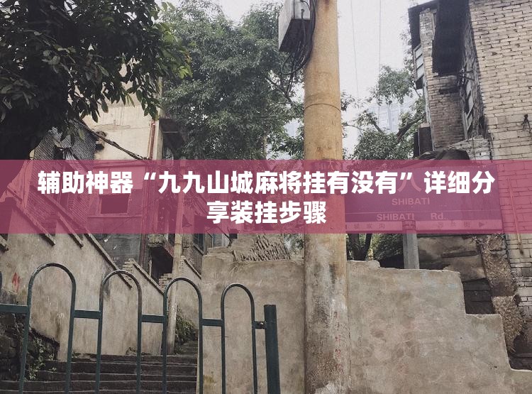辅助神器“九九山城麻将挂有没有”详细分享装挂步骤
