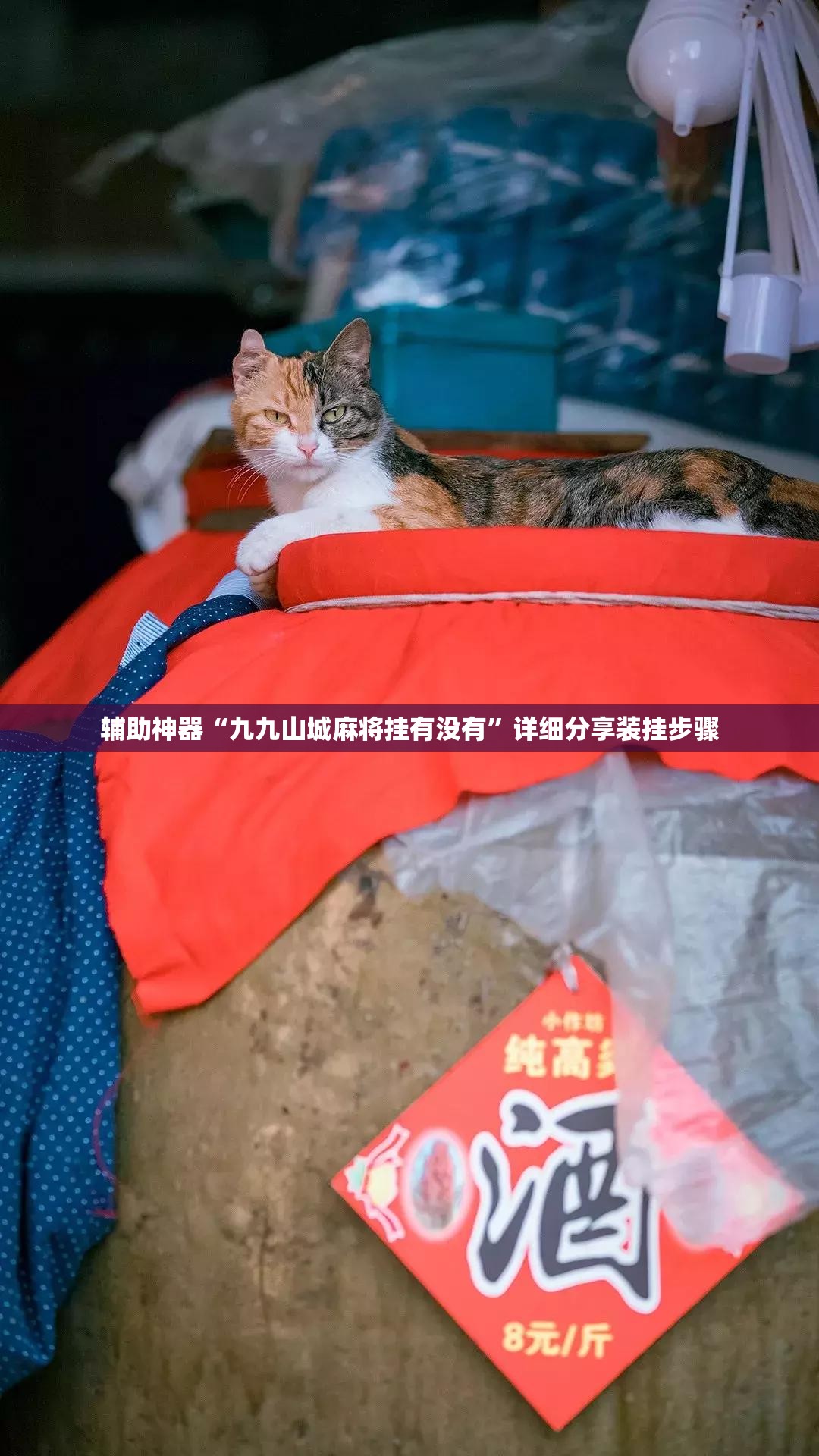 辅助神器“九九山城麻将挂有没有”详细分享装挂步骤