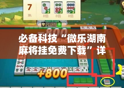 必备科技“微乐湖南麻将挂免费下载”详细分享装挂步骤