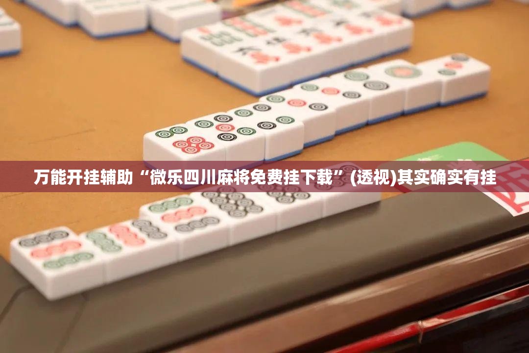 万能开挂辅助“微乐四川麻将免费挂下载”(透视)其实确实有挂