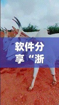 软件分享“浙江游戏大厅手机开挂免费”科技辅助神器手机版