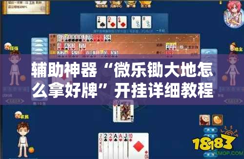 辅助神器“微乐锄大地怎么拿好牌”开挂详细教程