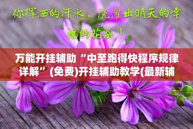 万能开挂辅助“中至跑得快程序规律详解”(免费)开挂辅助教学(最新辅助开挂教程)