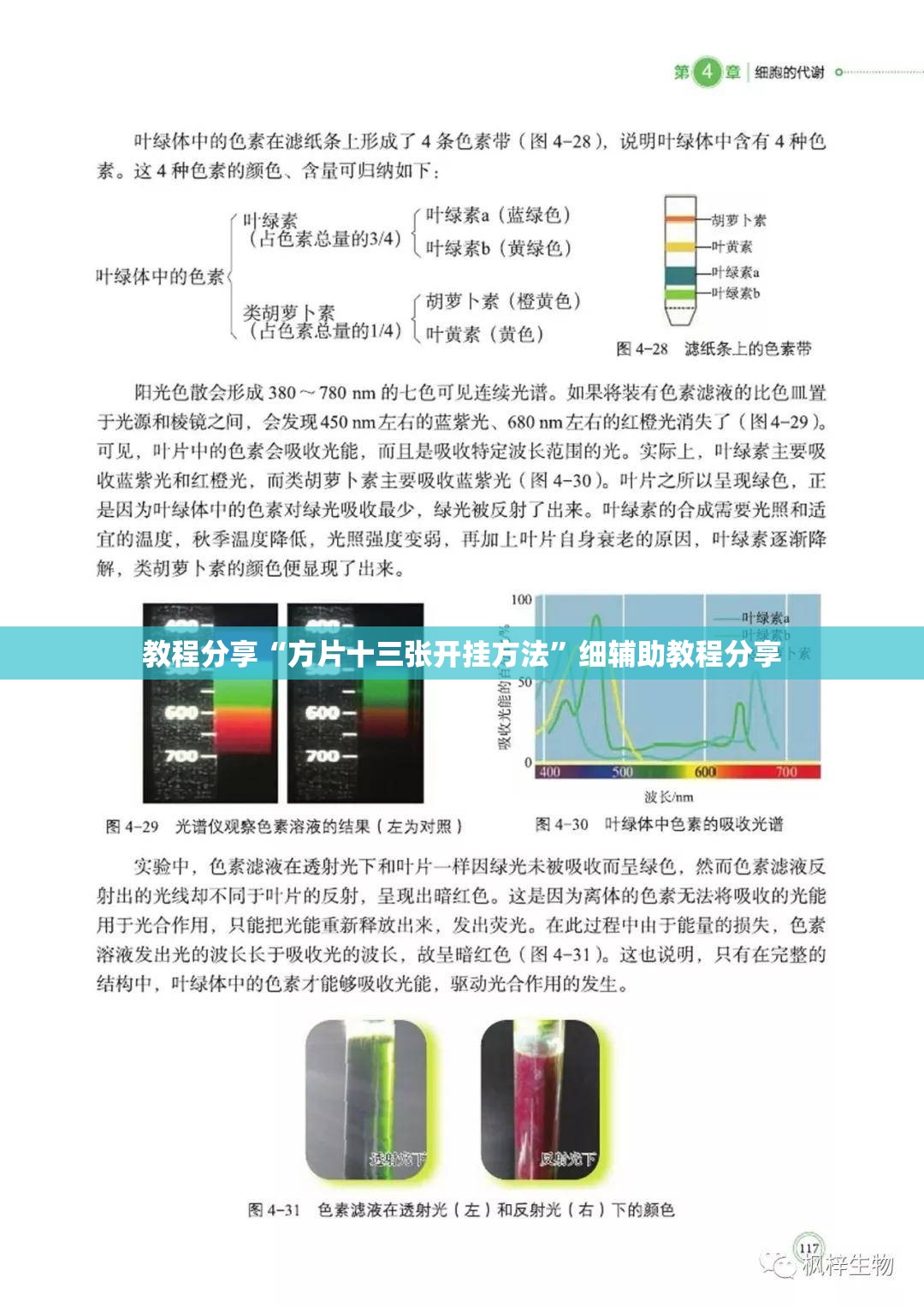 教程分享“方片十三张开挂方法”细辅助教程分享