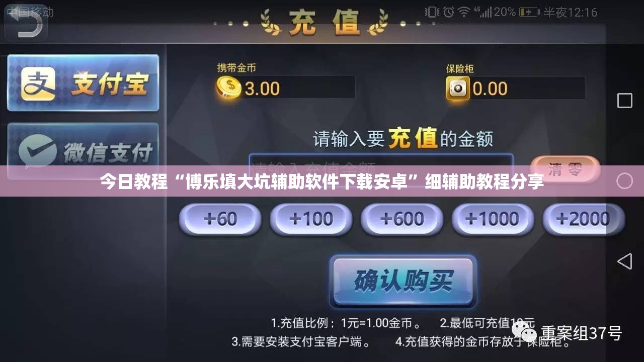 今日教程“博乐填大坑辅助软件下载安卓”细辅助教程分享