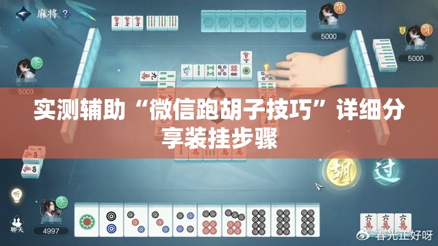 实测辅助“微信跑胡子技巧”详细分享装挂步骤