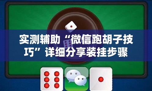 实测辅助“微信跑胡子技巧	”详细分享装挂步骤