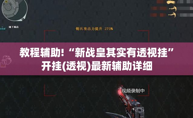教程辅助!“新战皇其实有透视挂”开挂(透视)最新辅助详细