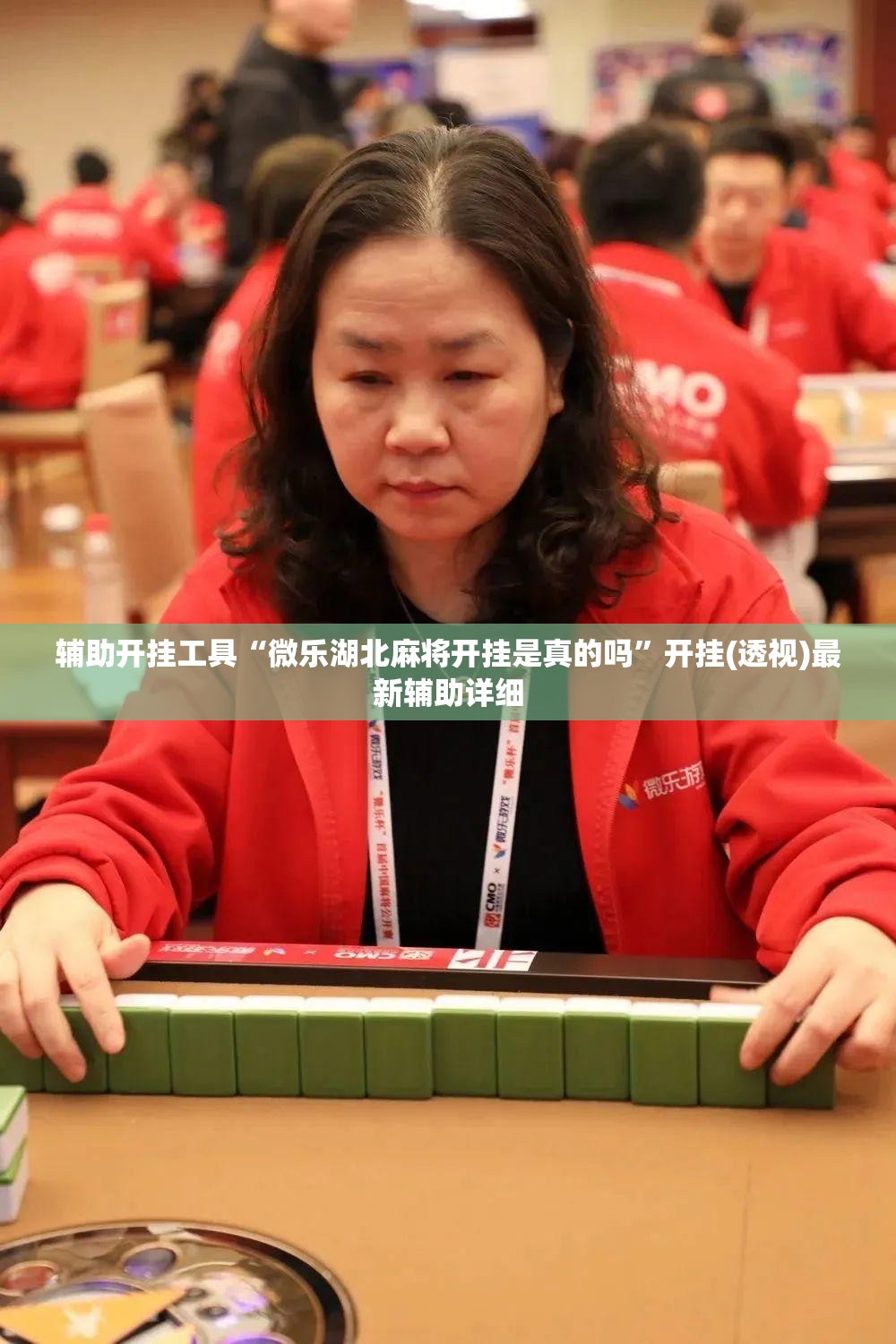 辅助开挂工具“微乐湖北麻将开挂是真的吗”开挂(透视)最新辅助详细