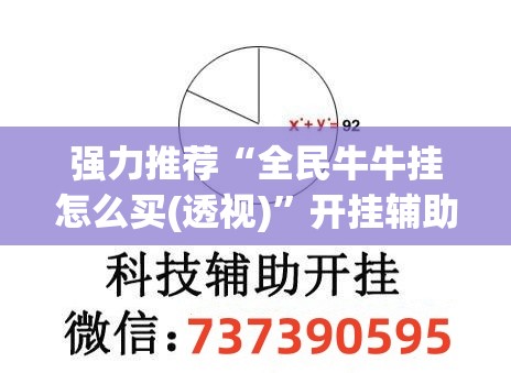 强力推荐“全民牛牛挂怎么买(透视)”开挂辅助脚本+详细开挂安装教程