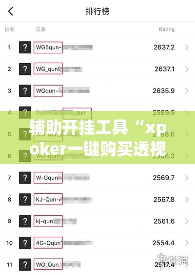 辅助开挂工具“xpoker一键购买透视挂”(透视)其实确实有挂
