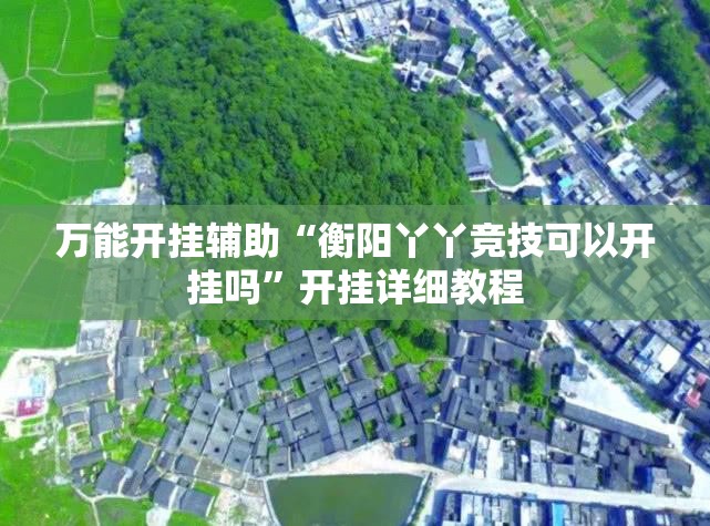 万能开挂辅助“衡阳丫丫竞技可以开挂吗”开挂详细教程