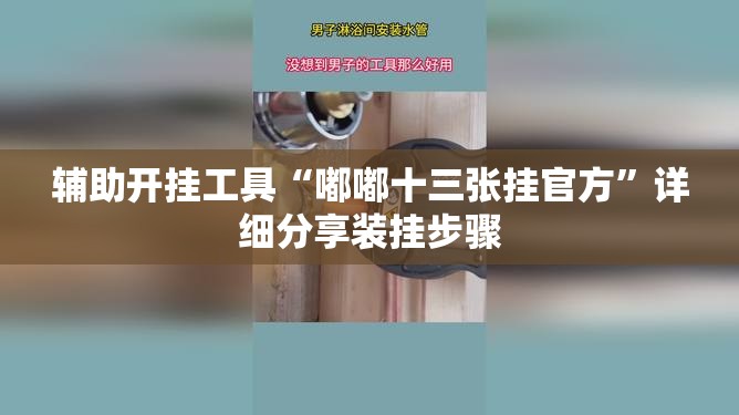 辅助开挂工具“嘟嘟十三张挂官方	”详细分享装挂步骤