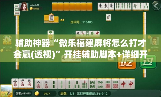 辅助神器“微乐福建麻将怎么打才会赢(透视)”开挂辅助脚本+详细开挂安装教程