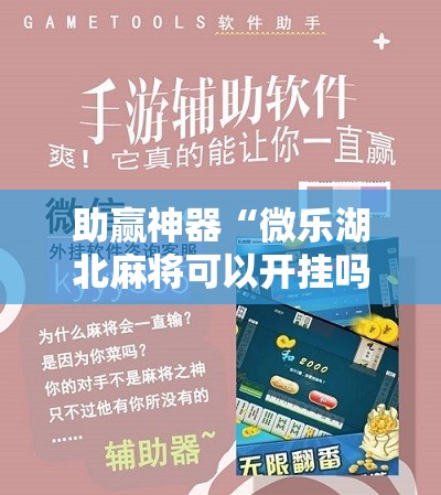 助赢神器“微乐湖北麻将可以开挂吗”详细分享装挂步骤
