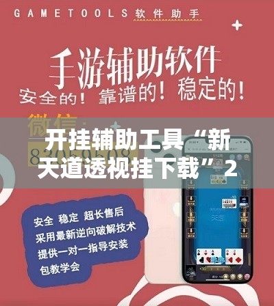 开挂辅助工具“新天道透视挂下载”2026开挂教程步骤