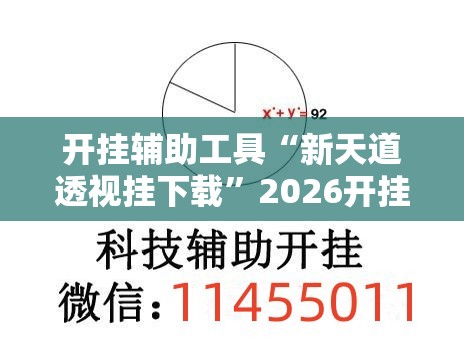 开挂辅助工具“新天道透视挂下载”2026开挂教程步骤