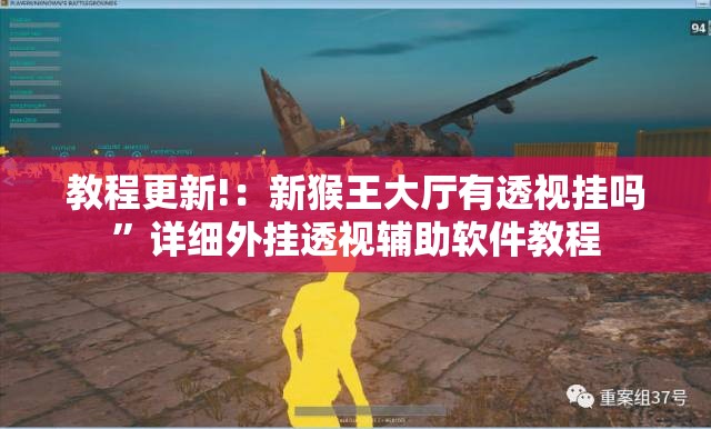 教程更新!：新猴王大厅有透视挂吗”详细外挂透视辅助软件教程