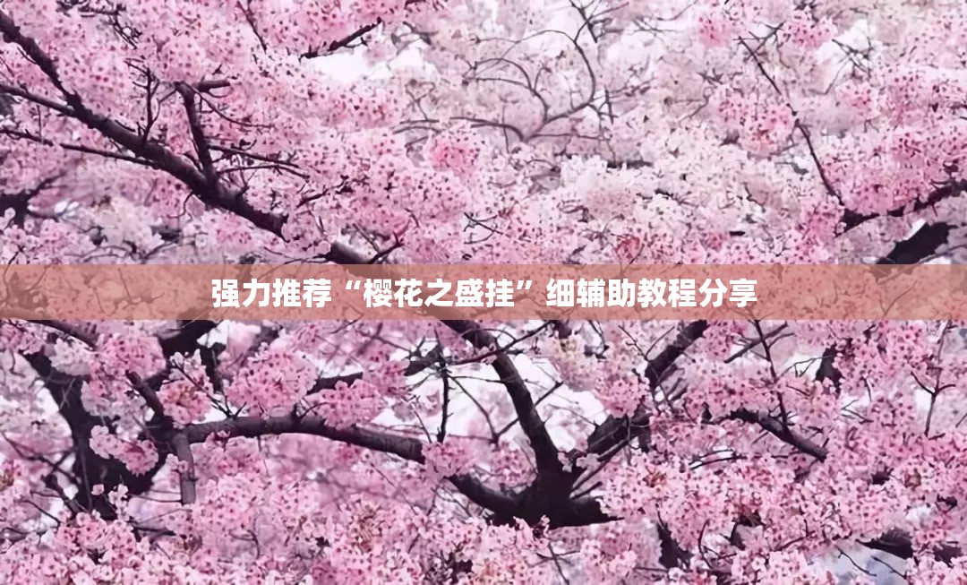 强力推荐“樱花之盛挂	”细辅助教程分享