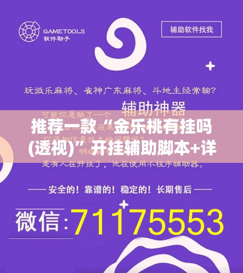 推荐一款“金乐桃有挂吗(透视)”开挂辅助脚本+详细开挂安装教程