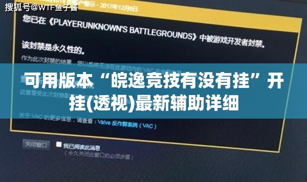 可用版本“皖逸竞技有没有挂”开挂(透视)最新辅助详细