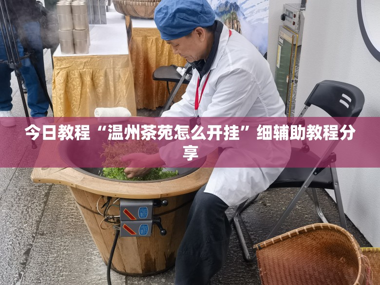 今日教程“温州茶苑怎么开挂”细辅助教程分享